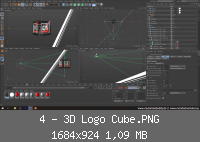4 - 3D Logo Cube.PNG
