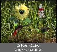 2flowers2.jpg
